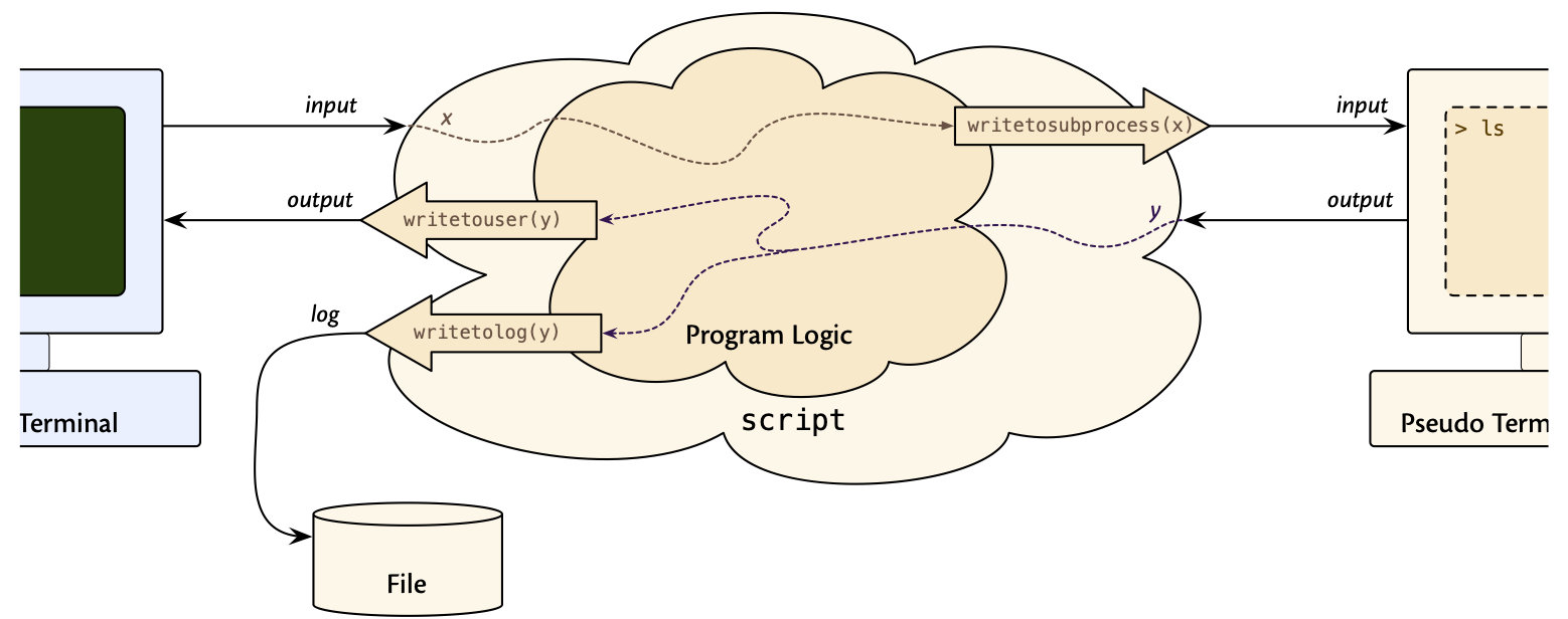 Original Structure of the C Code